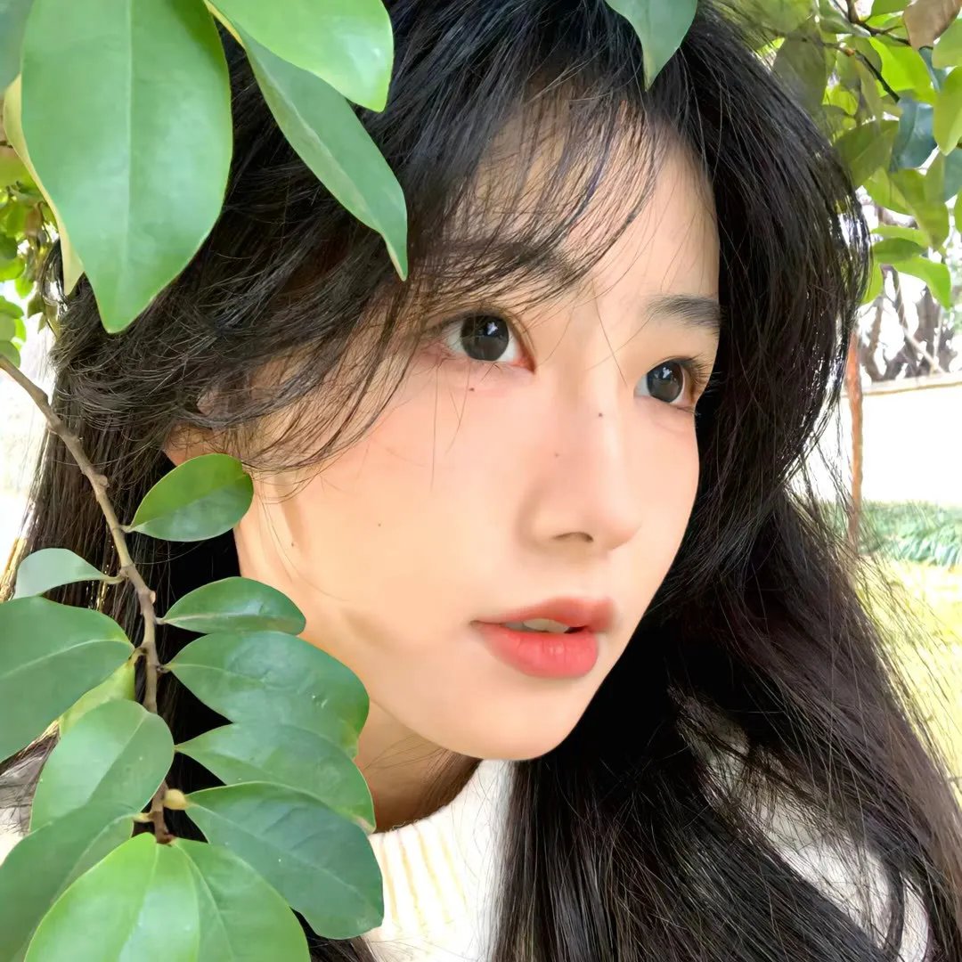 秘林謎村